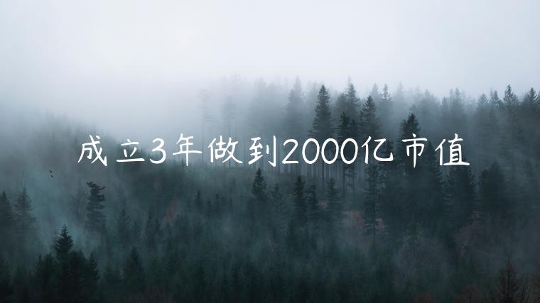 成立3年做到2000億市值